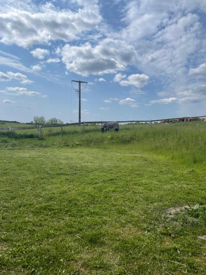 Ferienwohnung Mit Kamin Und Traumhafter Dachterrasse Mit Weitblick In Die Natur Neu Gaarz Zewnętrze zdjęcie